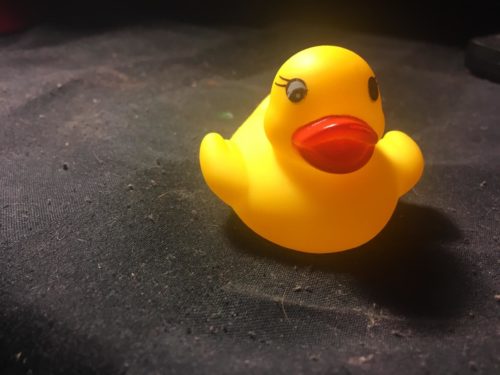 Rubber Ducks Bath Toy (Family Set) photo review