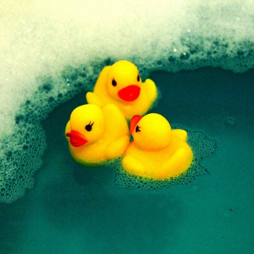 Details about   Rubber Duck polo Bath Duck Rubber Ducky Rubber Duckie 