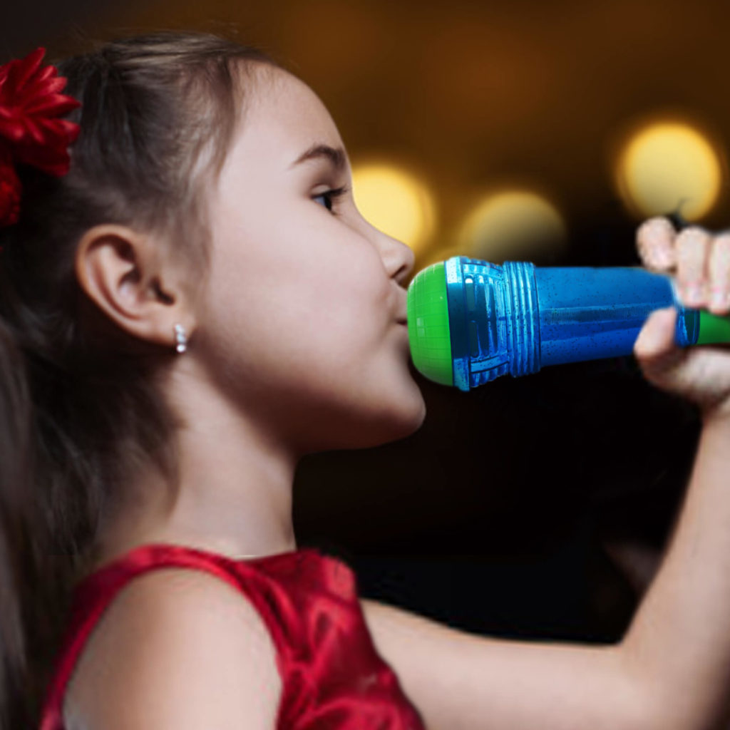 Echo Mic for Kids and Toddlers 10" Novelty Place