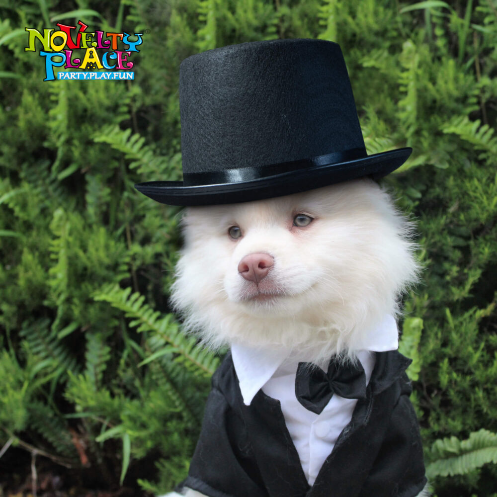 Magician Black Top Hat